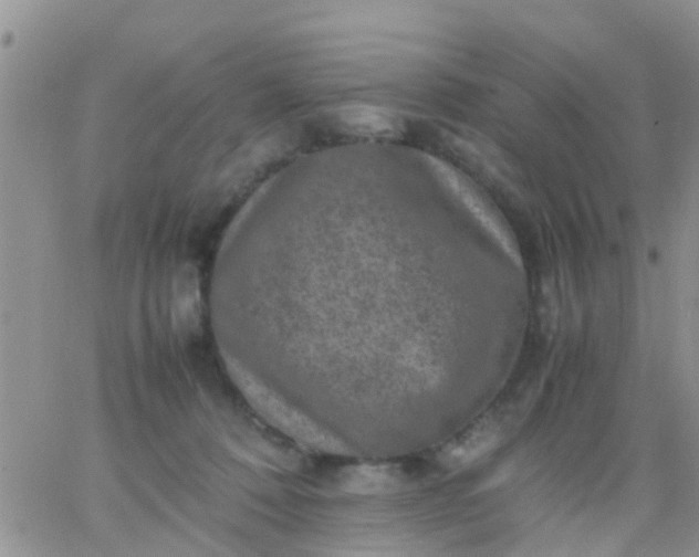 X0000065980320200603172121