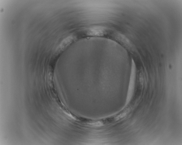 X0000065980322200603172121