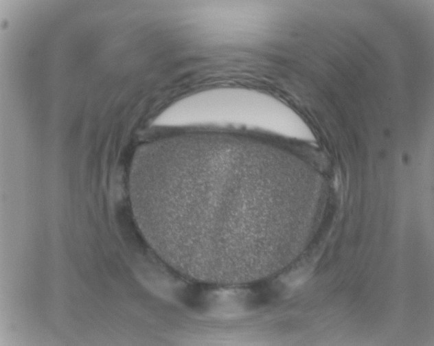 X0000065980323200603172121