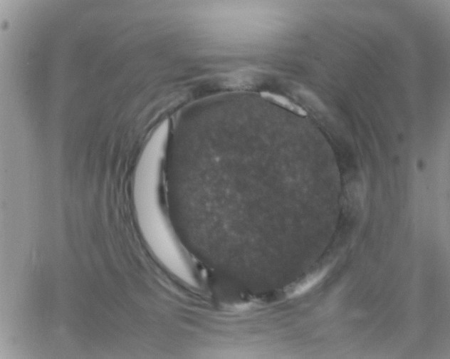 X0000065980325200603172121