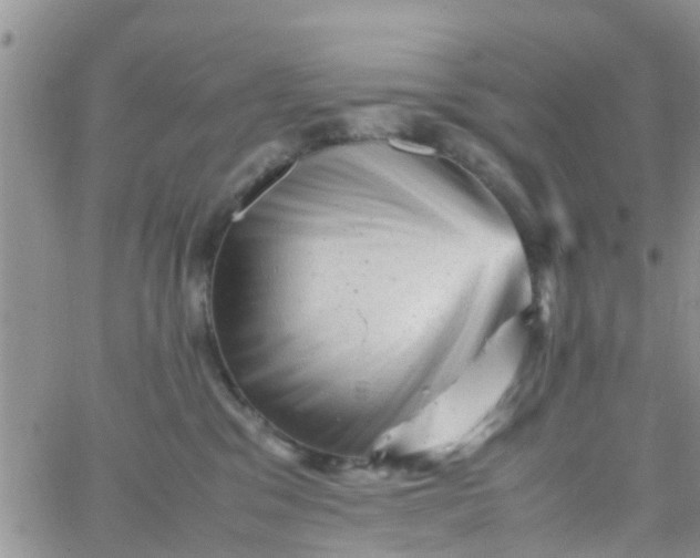 X0000065980329200603172121