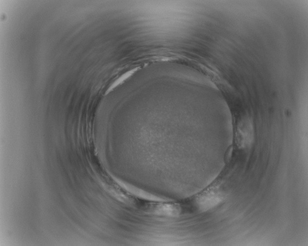 X0000065980330200603172121