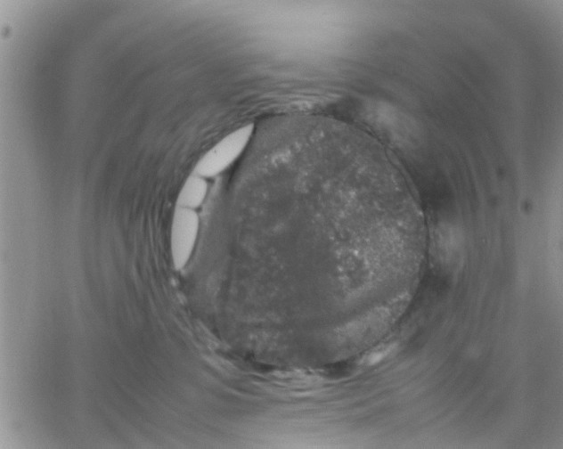 X0000065980331200603172121