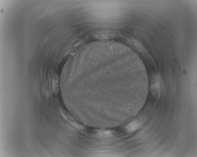 X0000065980332200603172121