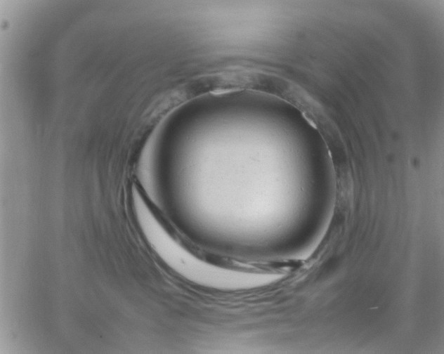 X0000065980333200603172121