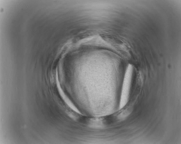 X0000065980335200603172121