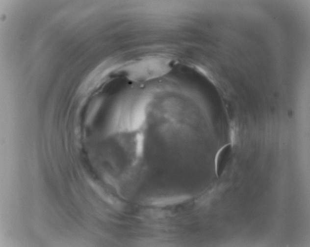 X0000065980339200603172120