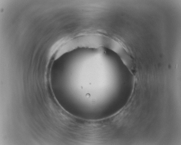 X0000065980340200603172120