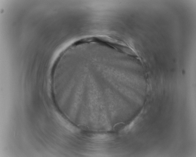 X0000065980342200603172121