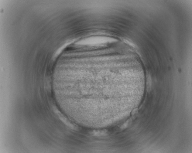 X0000065980345200603172121