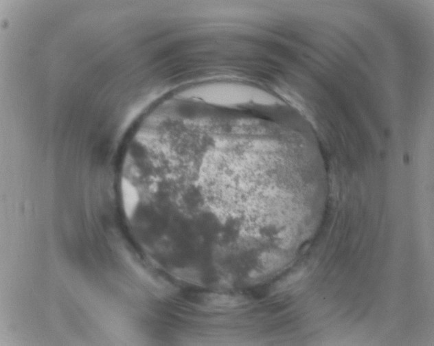 X0000065980347200603172121