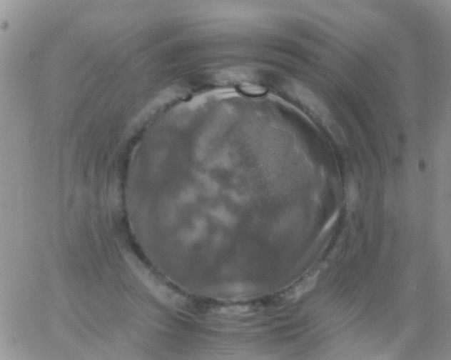 X0000065980353200603172121