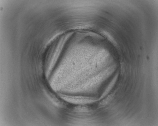 X0000065980354200603172121