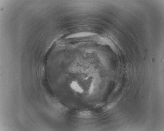 X0000065980355200603172121