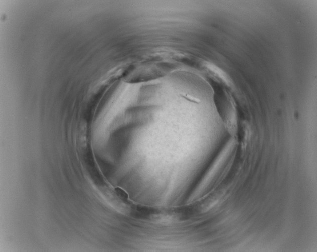 X0000065980356200603172121