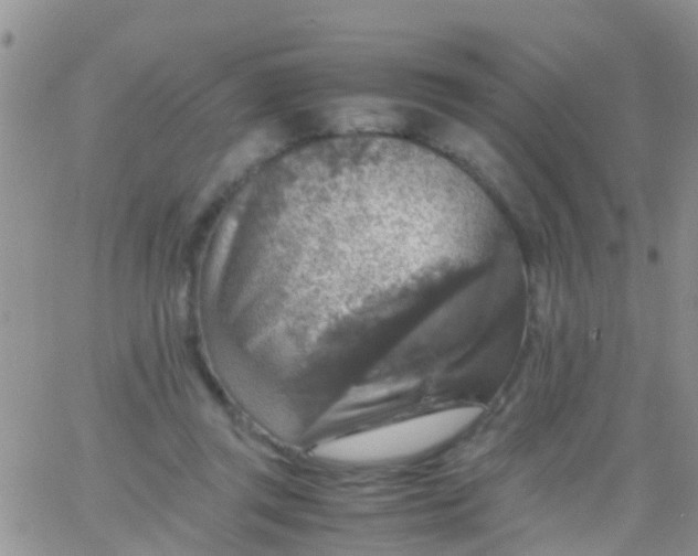 X0000065980357200603172121