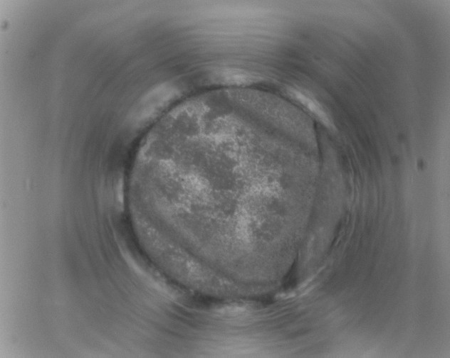 X0000065980358200603172121