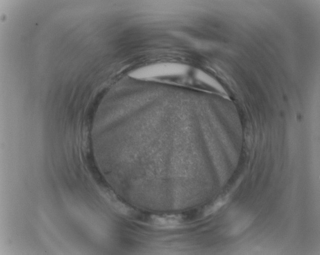 X0000065980359200603172121