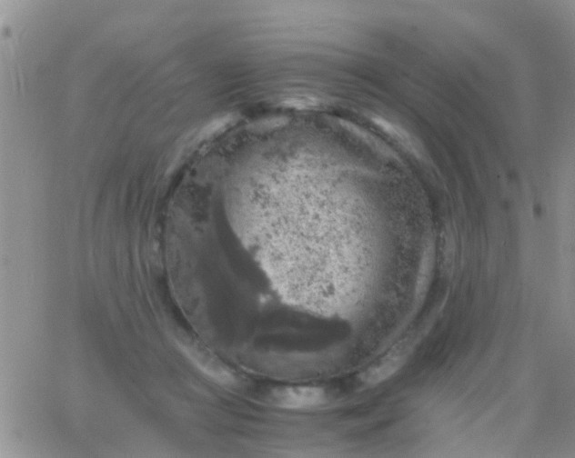 X0000065980361200603172121