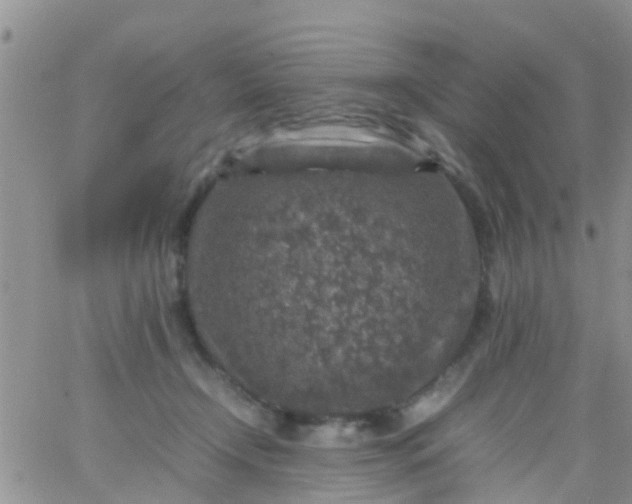 X0000065980366200603172121