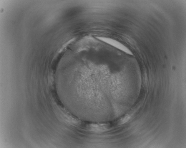 X0000065980367200603172121