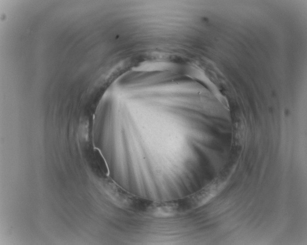 X0000065980368200603172121