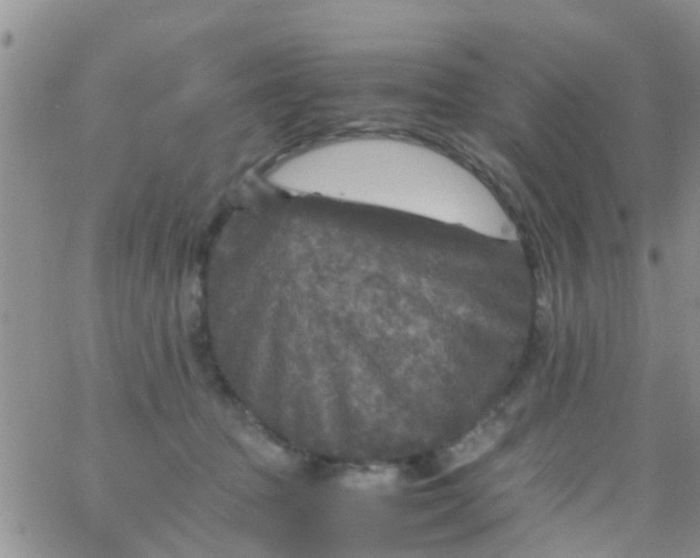 X0000065980369200603172121