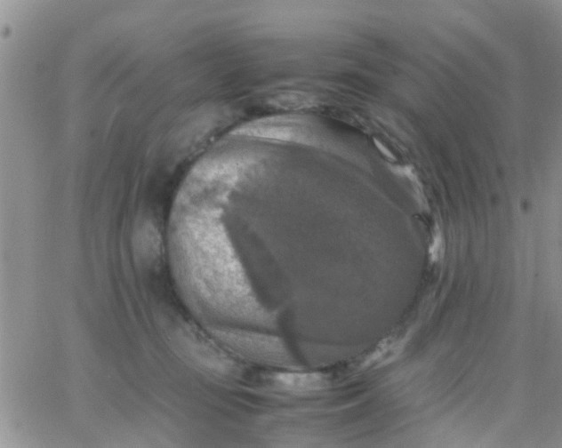 X0000065980371200603172121