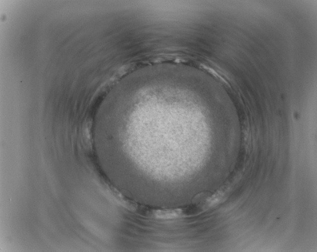 X0000065980373200603172121