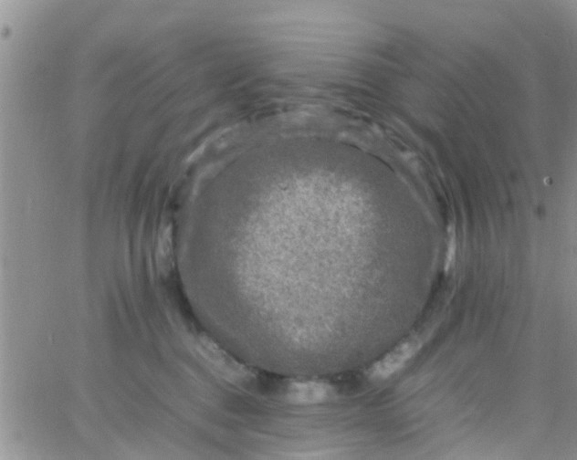 X0000065980376200603172121