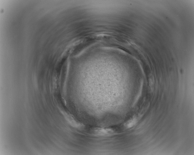 X0000065980379200603172121