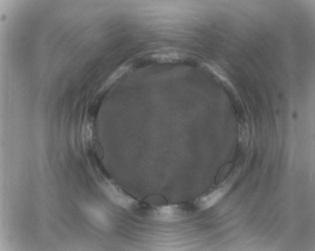 X0000065980382200603172121