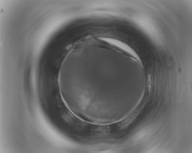 X0000065980383200603172121