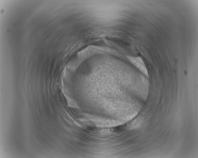 X0000065980384200603172121