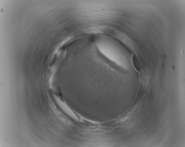 X0000065980386200603172120