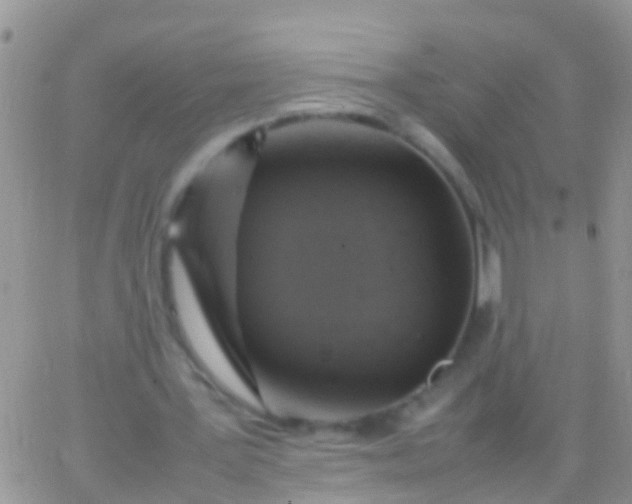 X0000065980387200603172120