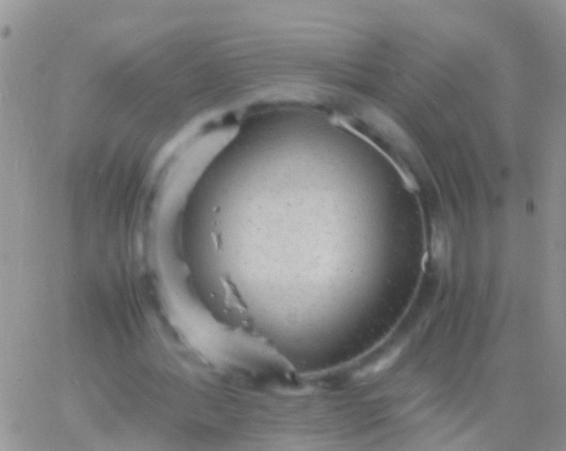 X0000065980388200603172120