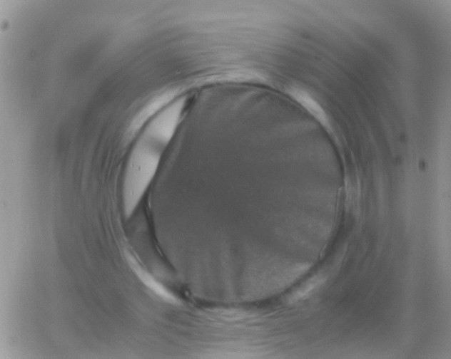 X0000065980389200603172120