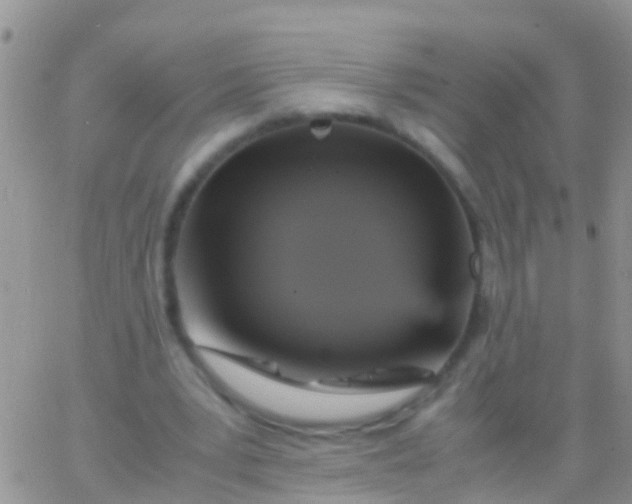 X0000065980391200603172120