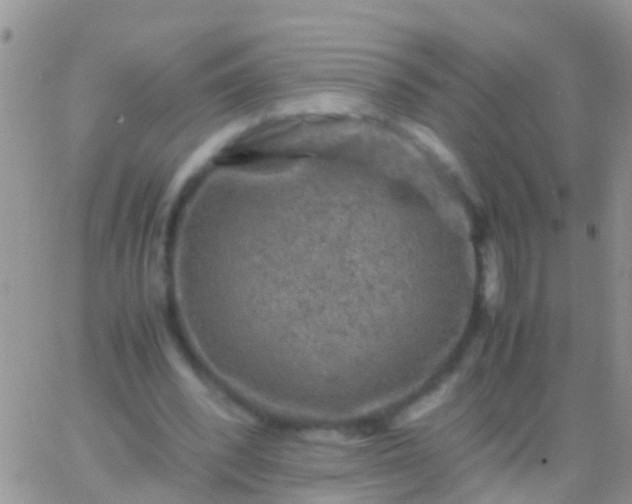 X0000065980392200603172120