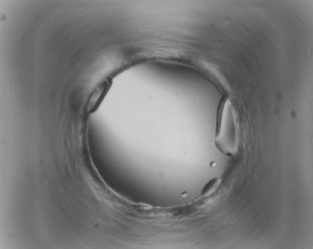 X0000065980395200603172120