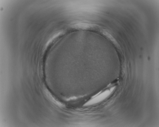 X0000065980399200603172120