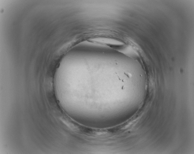 X0000065980401200603172120