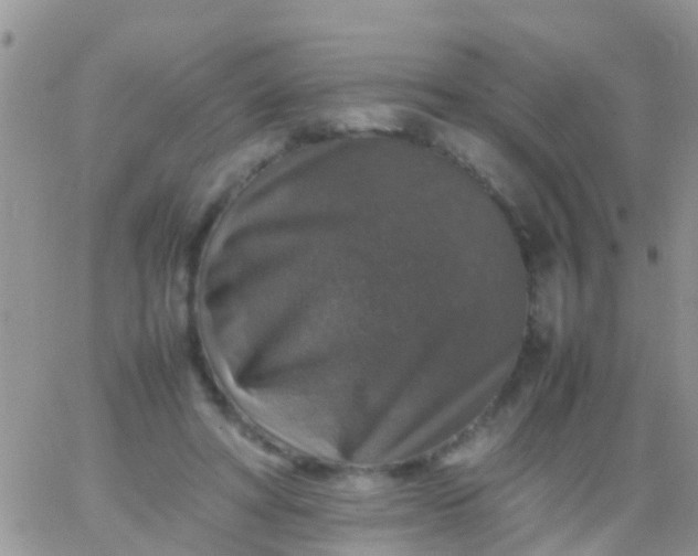 X0000065980402200603172120