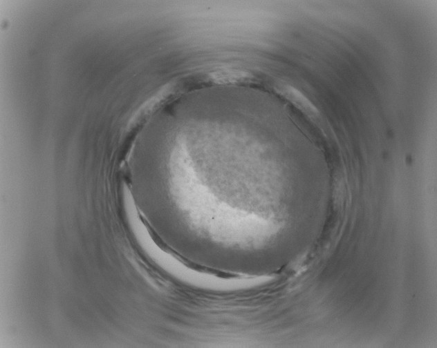 X0000065980405200603172120