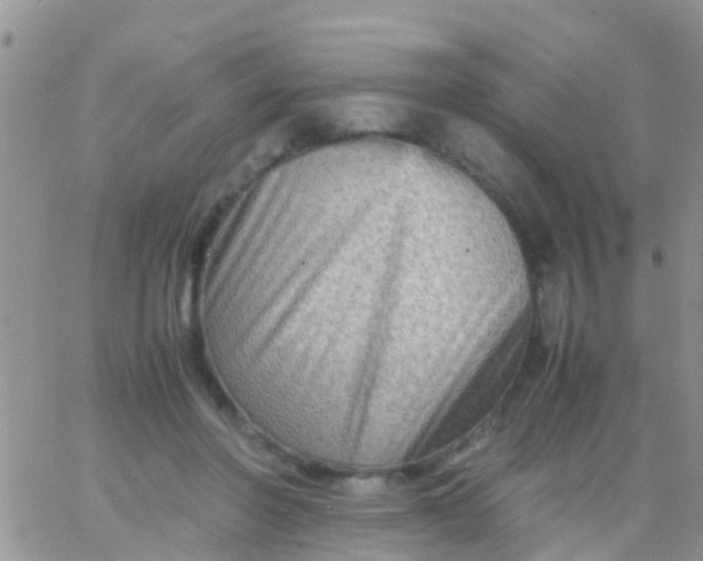 X0000065980406200603172120