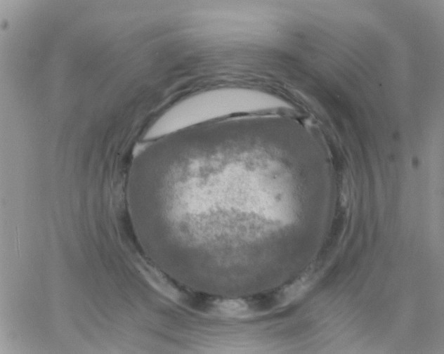 X0000065980409200603172120