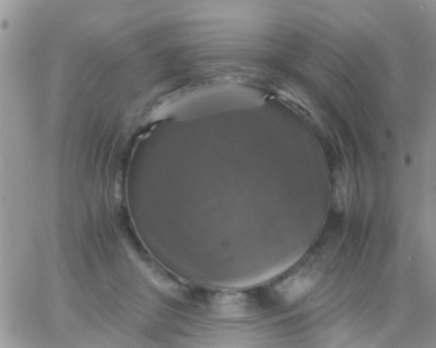 X0000065980410200603172120