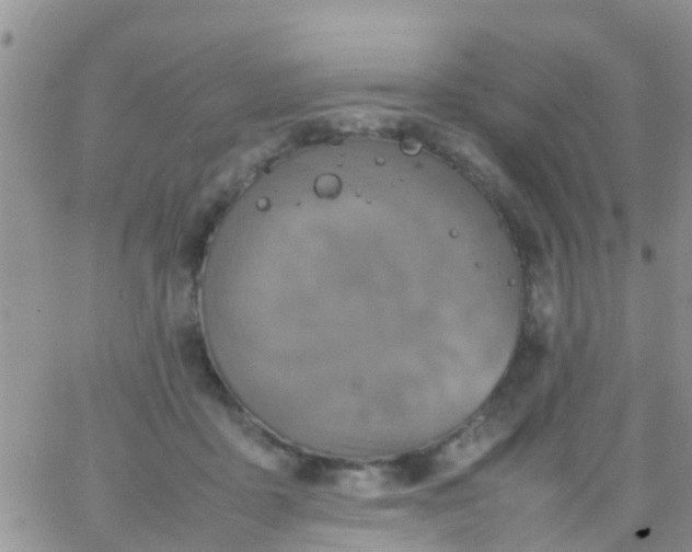 X0000065980411200603172120