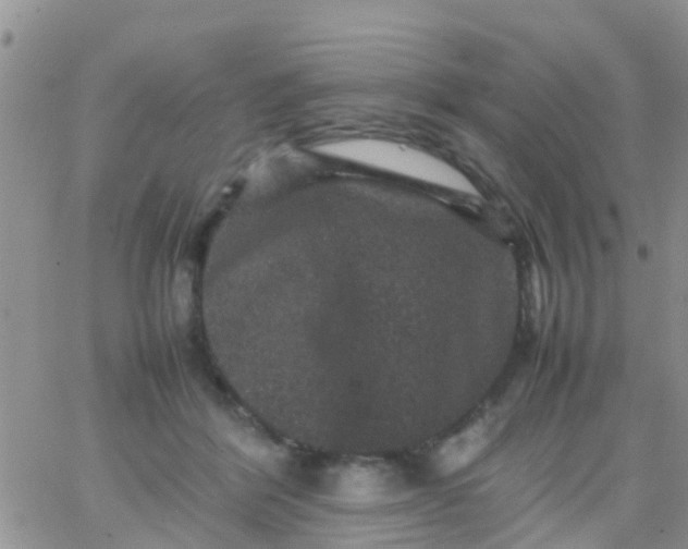 X0000065980412200603172120